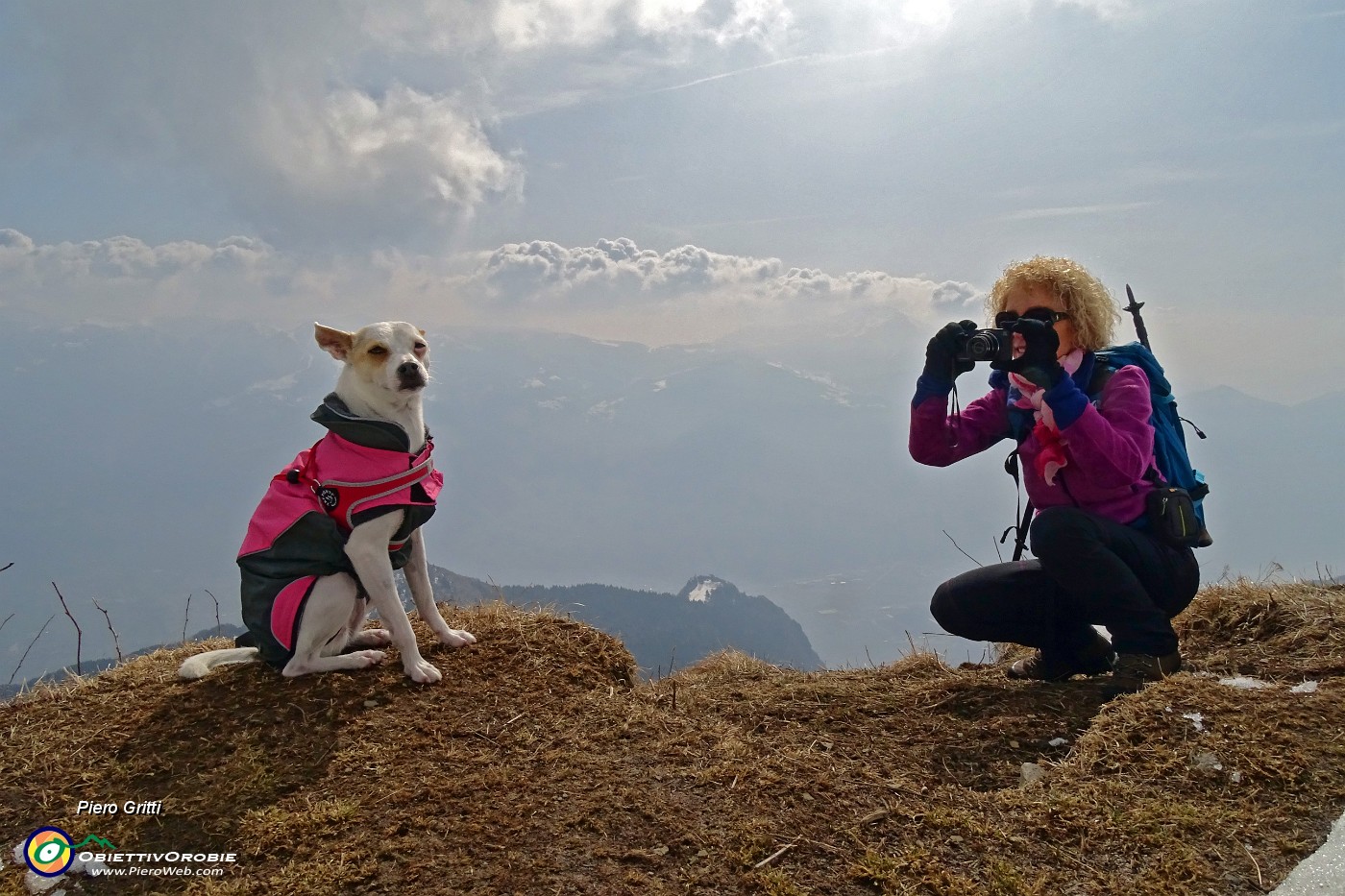 34 Stelina, fotomodella a quattro zampe !.JPG -                                